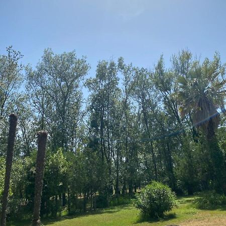 Chalet En Pleine Nature La Roquette-sur-Siagne Eksteriør bilde