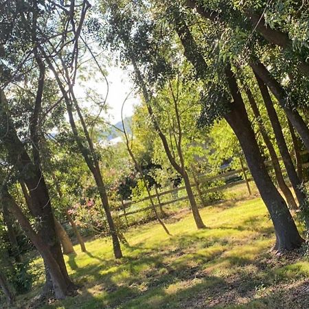 Chalet En Pleine Nature La Roquette-sur-Siagne Eksteriør bilde