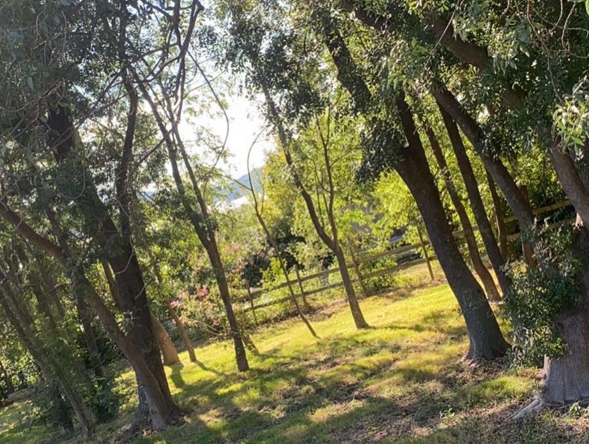 Chalet En Pleine Nature La Roquette-sur-Siagne Eksteriør bilde